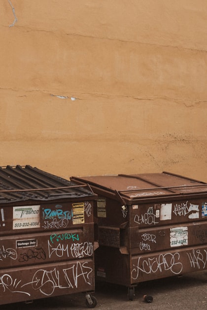 Understanding Dumpster Registries